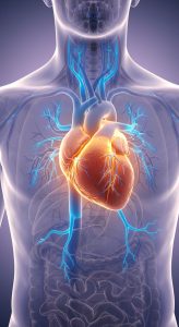 Explore Clinically supported supplements