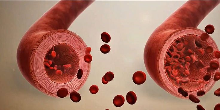 how to optimize your cardiovascular health